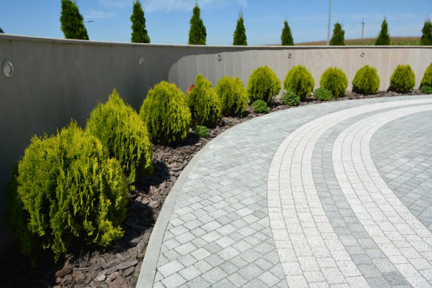 Best Driveway Paving Contractor  in Ramsey, MN